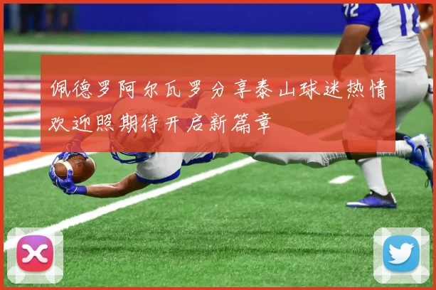 佩德罗阿尔瓦罗分享泰山球迷热情欢迎照期待开启新篇章