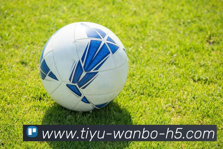 多媒体互动体验